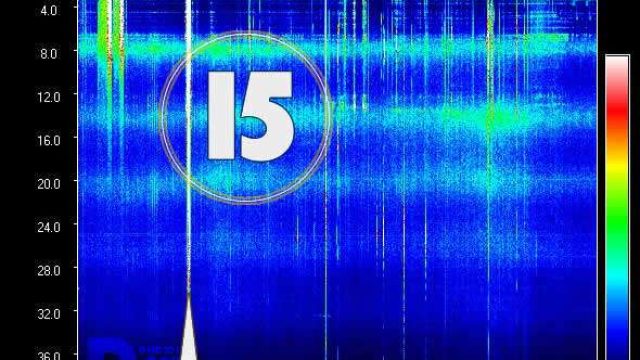 Exploring the Relevance of Schumann Resonance: Insights for Today